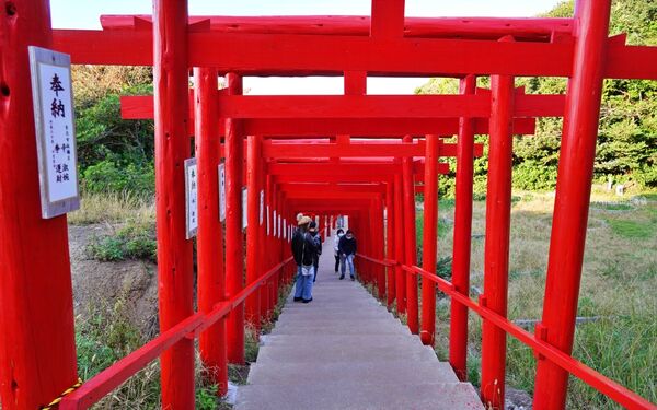 ▲▼日本山口「元乃隅神社」，123座紅色鳥居綿延至海邊，依山傍海超壯觀。（圖／部落客Mika提供）