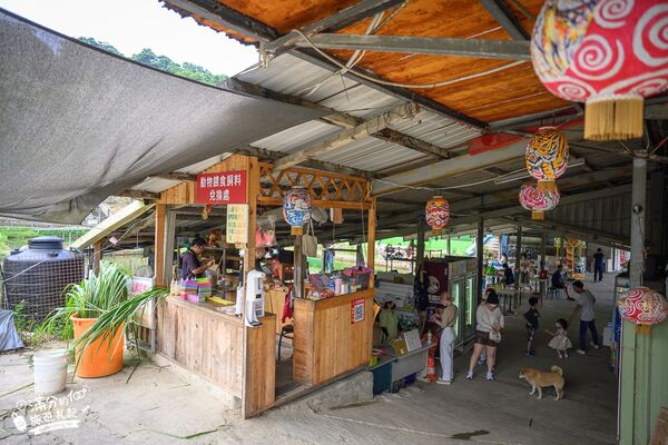 ▲▼桃園大溪親子景點「花鹿秘境李家摸蜆農場」，餵水豚君梅花鹿，還能釣魚超好玩。（圖／部落客滿分提供）