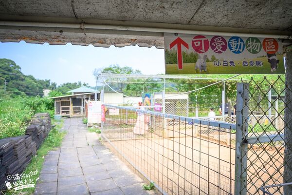 ▲▼桃園大溪親子景點「花鹿秘境李家摸蜆農場」，餵水豚君梅花鹿，還能釣魚超好玩。（圖／部落客滿分提供）