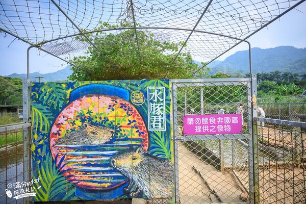 ▲▼桃園大溪親子景點「花鹿秘境李家摸蜆農場」，餵水豚君梅花鹿，還能釣魚超好玩。（圖／部落客滿分提供）
