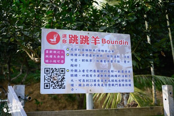 ▲▼桃園大溪親子景點「花鹿秘境李家摸蜆農場」，餵水豚君梅花鹿，還能釣魚超好玩。（圖／部落客滿分提供）