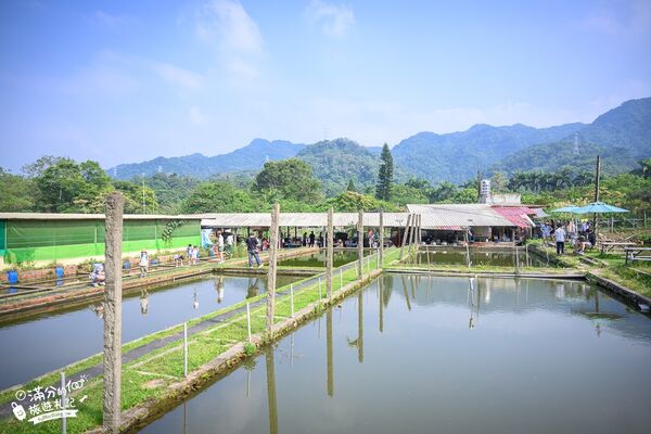 ▲▼桃園大溪親子景點「花鹿秘境李家摸蜆農場」，餵水豚君梅花鹿，還能釣魚超好玩。（圖／部落客滿分提供）