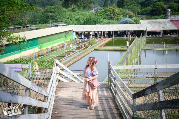 ▲▼桃園大溪親子景點「花鹿秘境李家摸蜆農場」，餵水豚君梅花鹿，還能釣魚超好玩。（圖／部落客滿分提供）