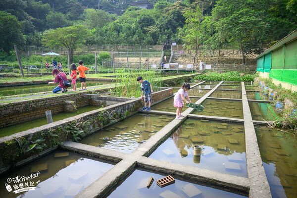 ▲▼桃園大溪親子景點「花鹿秘境李家摸蜆農場」，餵水豚君梅花鹿，還能釣魚超好玩。（圖／部落客滿分提供）