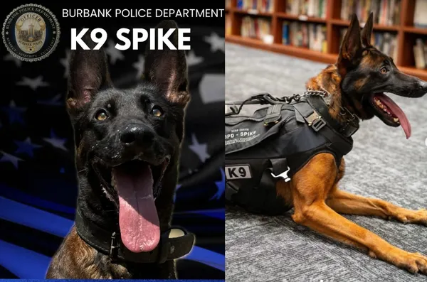 英勇警犬追捕逃犯「被連開多槍射殺」　最後任務震撼畫面曝。（圖／翻攝自Burbankpolice）