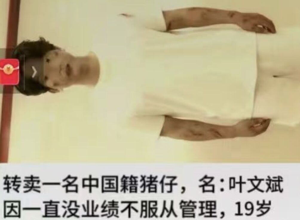 ▲費女士發現網路上流傳疑似是葉文斌被當「豬仔」販賣的資訊。（圖／翻攝極目新聞）