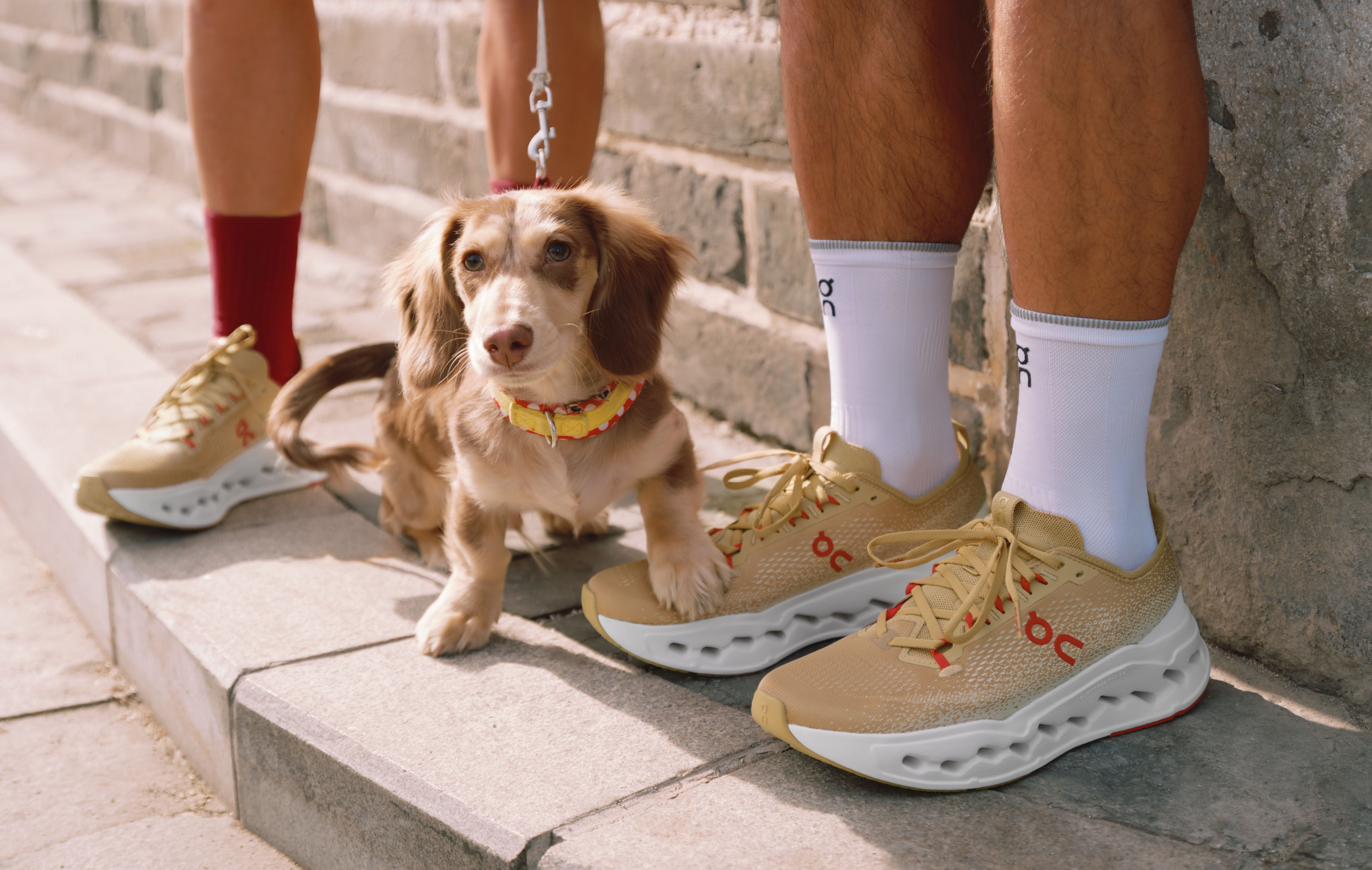 ▲▼      馬年限定鞋   。（圖／品牌提供）