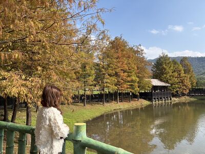 北市「12大花季時間、地點」一次看