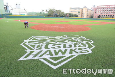 從台鋼雄鷹訓練基地談起　中職走向產業成熟化的里程碑