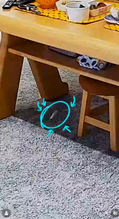 ▲▼蔡阿嘎,二伯。（圖／翻攝自Instagram／2uncle987）