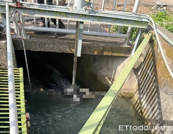 ▲▼             。（圖／民眾提供，請勿任意翻攝）