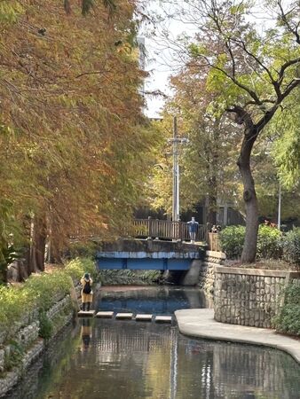 ▲士林官邸與原住民文化主題公園的落羽松變色。（圖／翻攝自Facebook／公園新花漾）