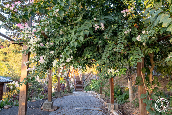 ▲▼霖咖啡 lincafe&rsquo;。（圖／部落客桃桃&rsquo;s旅人手札授權提供）