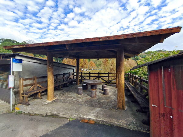 ▲▼永公路落羽松，S步道林徑，陽明山落羽松。（圖／部落客WISELY提供）