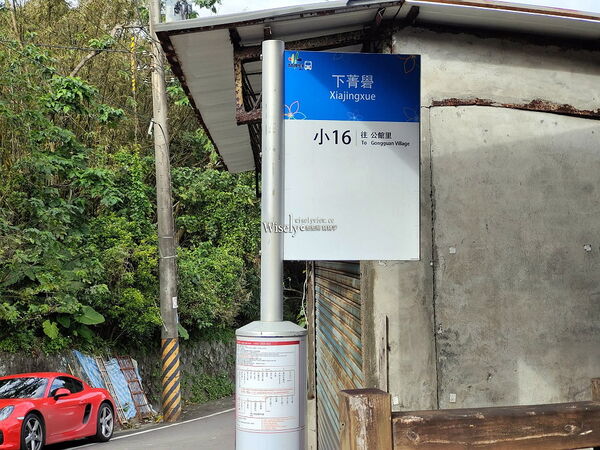 ▲▼永公路落羽松，S步道林徑，陽明山落羽松。（圖／部落客WISELY提供）