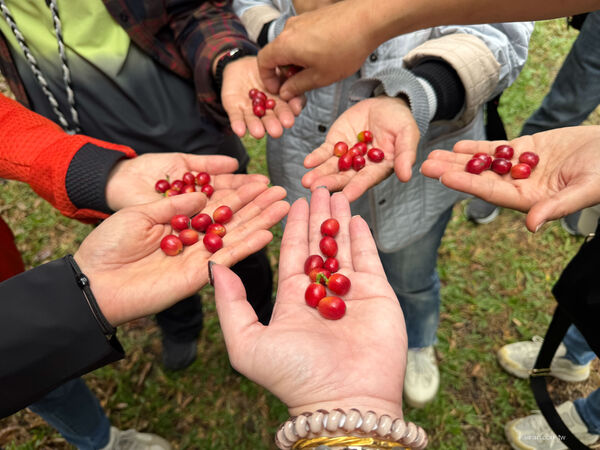 ▲▼屏東兩日遊攻略。（圖／部落客台南好food遊授權提供）