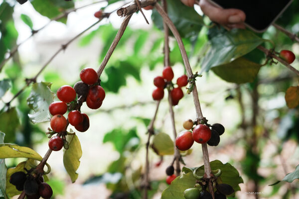 ▲▼屏東兩日遊攻略。（圖／部落客台南好food遊授權提供）