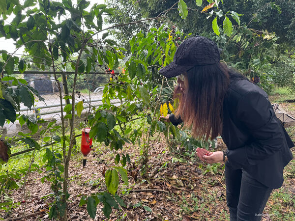 ▲▼屏東兩日遊攻略。（圖／部落客台南好food遊授權提供）