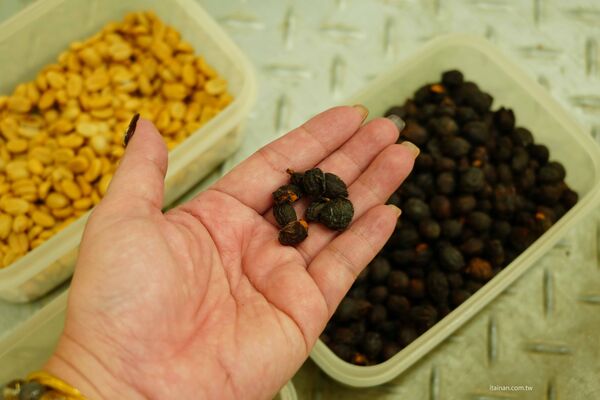 ▲▼屏東兩日遊攻略。（圖／部落客台南好food遊授權提供）