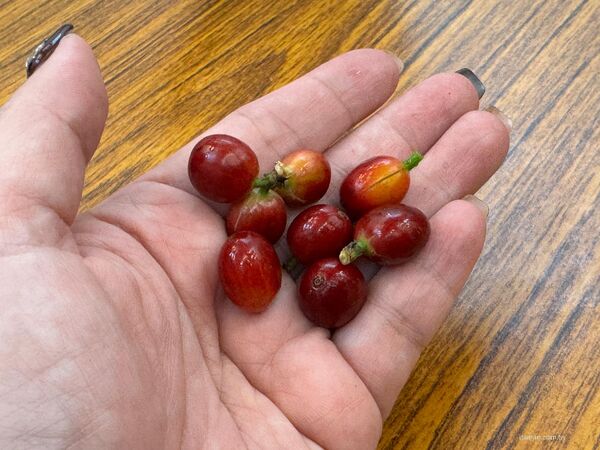 ▲▼屏東兩日遊攻略。（圖／部落客台南好food遊授權提供）