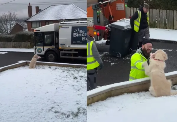 天天守垃圾桶旁等朋友　友善阿金「叼心愛娃娃」開心迎接清潔隊。（圖／翻攝自Instagram　／maddiethebad.e）