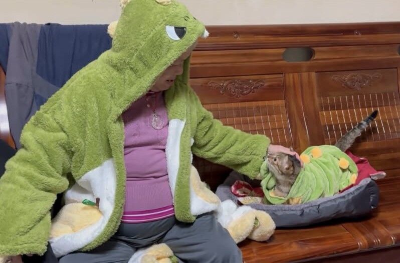 ▲貓孫乖坐等阿嬤「不求人」拍屁屁　圓滾背影惹網笑：根本在敲木魚。（圖／Threads鳳@ io_612提供，請勿隨意翻拍，以免侵權。）