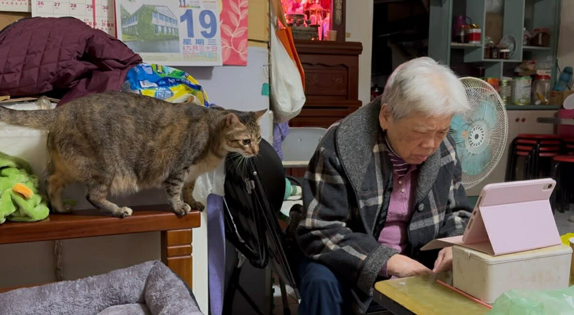 ▲貓孫乖坐等阿嬤「不求人」拍屁屁　圓滾背影惹網笑：根本在敲木魚。（圖／Threads鳳@ io_612提供，請勿隨意翻拍，以免侵權。）