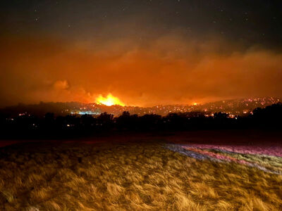 澳洲野火宣布「災難狀態」！燒毀30萬公頃土地　3.8萬戶斷電