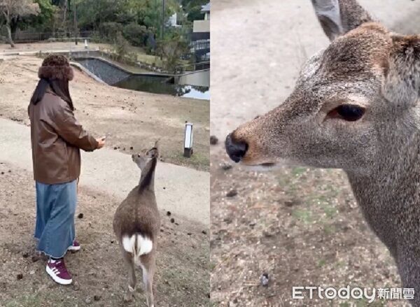 ▲。（圖／Threads@_kelllek_提供，請勿隨意翻拍，以免侵權。）