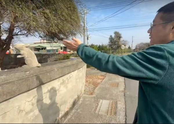 ▲彰化福興鄉龍虎神壇爆紅。（圖／民眾提供）