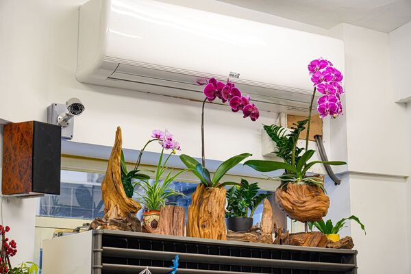 ▲▼新竹城隍廟美食推薦「九添福牛肉麵」，米其林實力好店，超浮誇大份量牛肉麵。（圖／部落客珊莎提供）