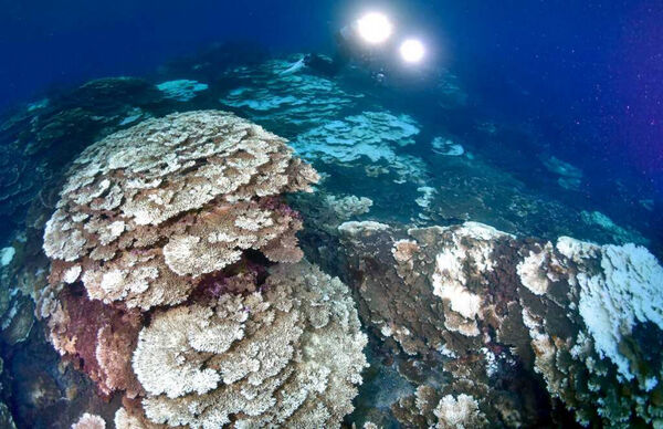 2025年海洋「吸熱爆表」！　專家警告：災難將一波接一波