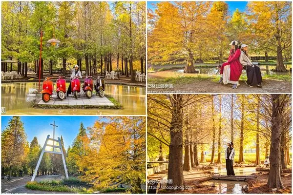 ▲▼台中泰安「羽粼落羽松」，水中步道、愛之鐘，彷彿走進歐洲森林。（圖／部落客史努比提供）