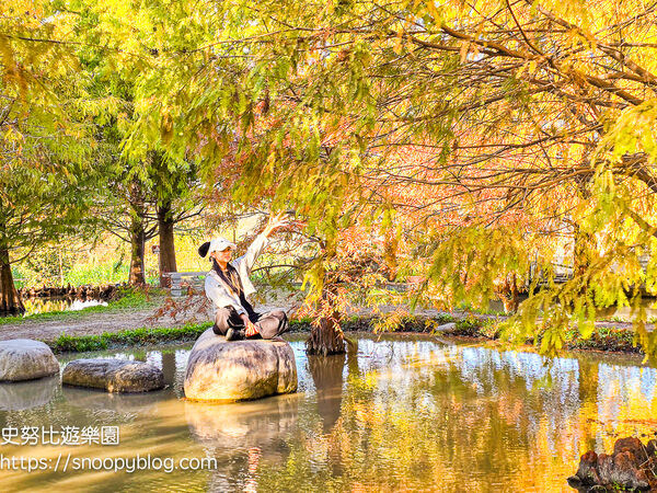▲▼台中泰安「羽粼落羽松」，水中步道、愛之鐘，彷彿走進歐洲森林。（圖／部落客史努比提供）