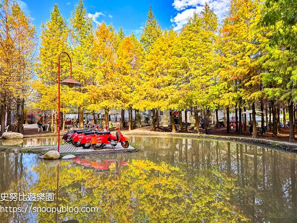 ▲▼台中泰安「羽粼落羽松」，水中步道、愛之鐘，彷彿走進歐洲森林。（圖／部落客史努比提供）