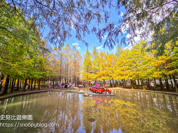▲▼台中泰安「羽粼落羽松」，水中步道、愛之鐘，彷彿走進歐洲森林。（圖／部落客史努比提供）