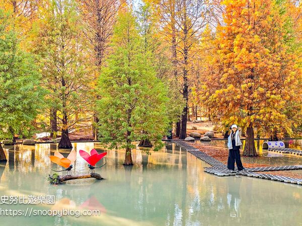 ▲▼台中泰安「羽粼落羽松」，水中步道、愛之鐘，彷彿走進歐洲森林。（圖／部落客史努比提供）