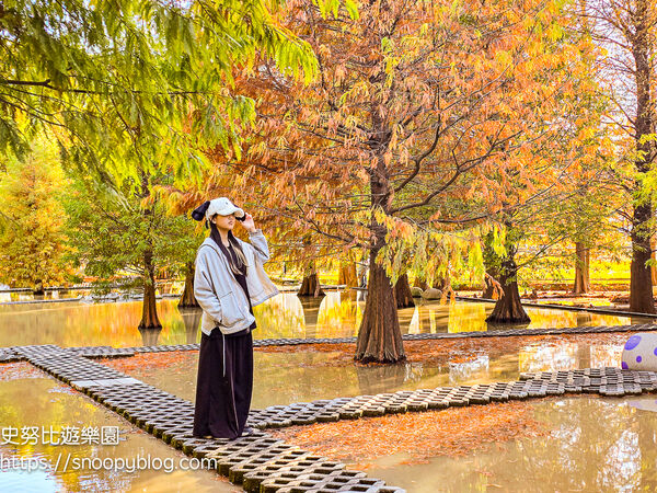 ▲▼台中泰安「羽粼落羽松」，水中步道、愛之鐘，彷彿走進歐洲森林。（圖／部落客史努比提供）