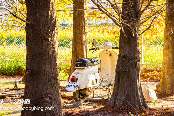 ▲▼台中泰安「羽粼落羽松」，水中步道、愛之鐘，彷彿走進歐洲森林。（圖／部落客史努比提供）