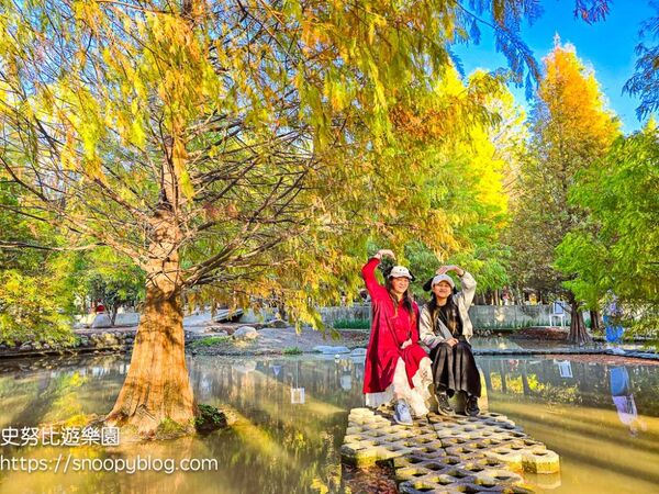 ▲▼台中泰安「羽粼落羽松」，水中步道、愛之鐘，彷彿走進歐洲森林。（圖／部落客史努比提供）