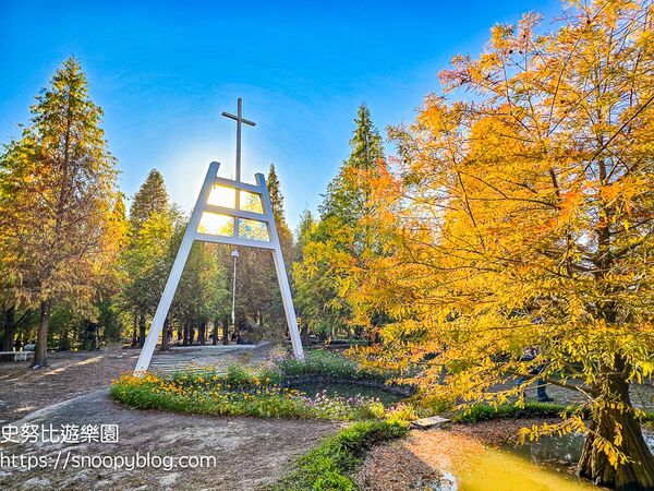 ▲▼台中泰安「羽粼落羽松」，水中步道、愛之鐘，彷彿走進歐洲森林。（圖／部落客史努比提供）