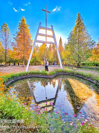 ▲▼台中泰安「羽粼落羽松」，水中步道、愛之鐘，彷彿走進歐洲森林。（圖／部落客史努比提供）