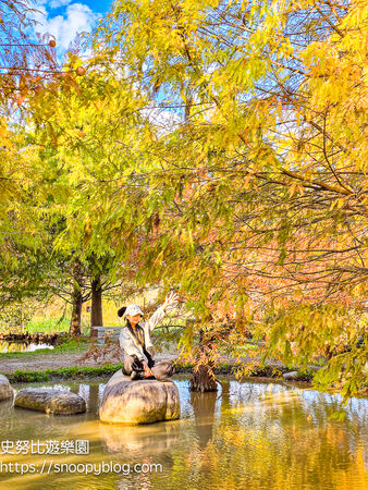 ▲▼台中泰安「羽粼落羽松」，水中步道、愛之鐘，彷彿走進歐洲森林。（圖／部落客史努比提供）