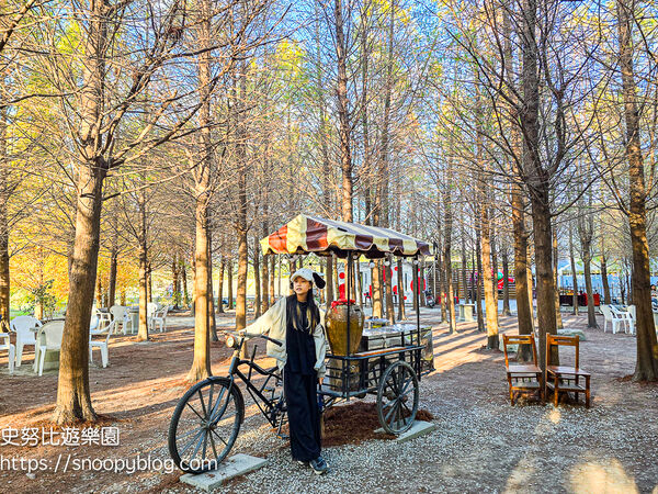 ▲▼台中泰安「羽粼落羽松」，水中步道、愛之鐘，彷彿走進歐洲森林。（圖／部落客史努比提供）