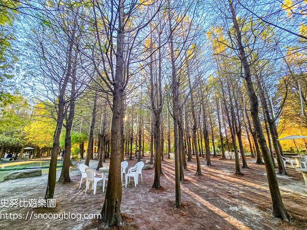 ▲▼台中泰安「羽粼落羽松」，水中步道、愛之鐘，彷彿走進歐洲森林。（圖／部落客史努比提供）