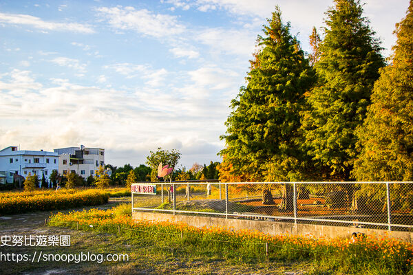 ▲▼台中泰安「羽粼落羽松」，水中步道、愛之鐘，彷彿走進歐洲森林。（圖／部落客史努比提供）