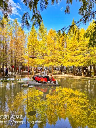 ▲▼台中泰安「羽粼落羽松」，水中步道、愛之鐘，彷彿走進歐洲森林。（圖／部落客史努比提供）