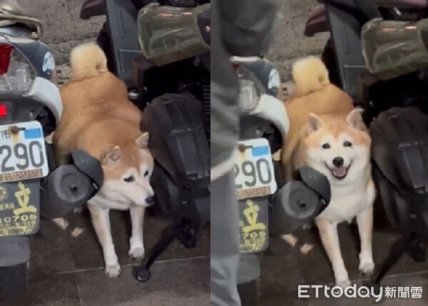 ▲。（圖／Threads@tei_0313提供，請勿隨意翻拍，以免侵權。）