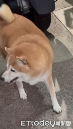 ▲。（圖／Threads@tei_0313提供，請勿隨意翻拍，以免侵權。）