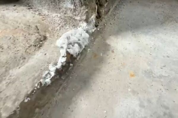 ▲鹿港一棟百年古厝出現結霜奇景。（圖／民眾提供）